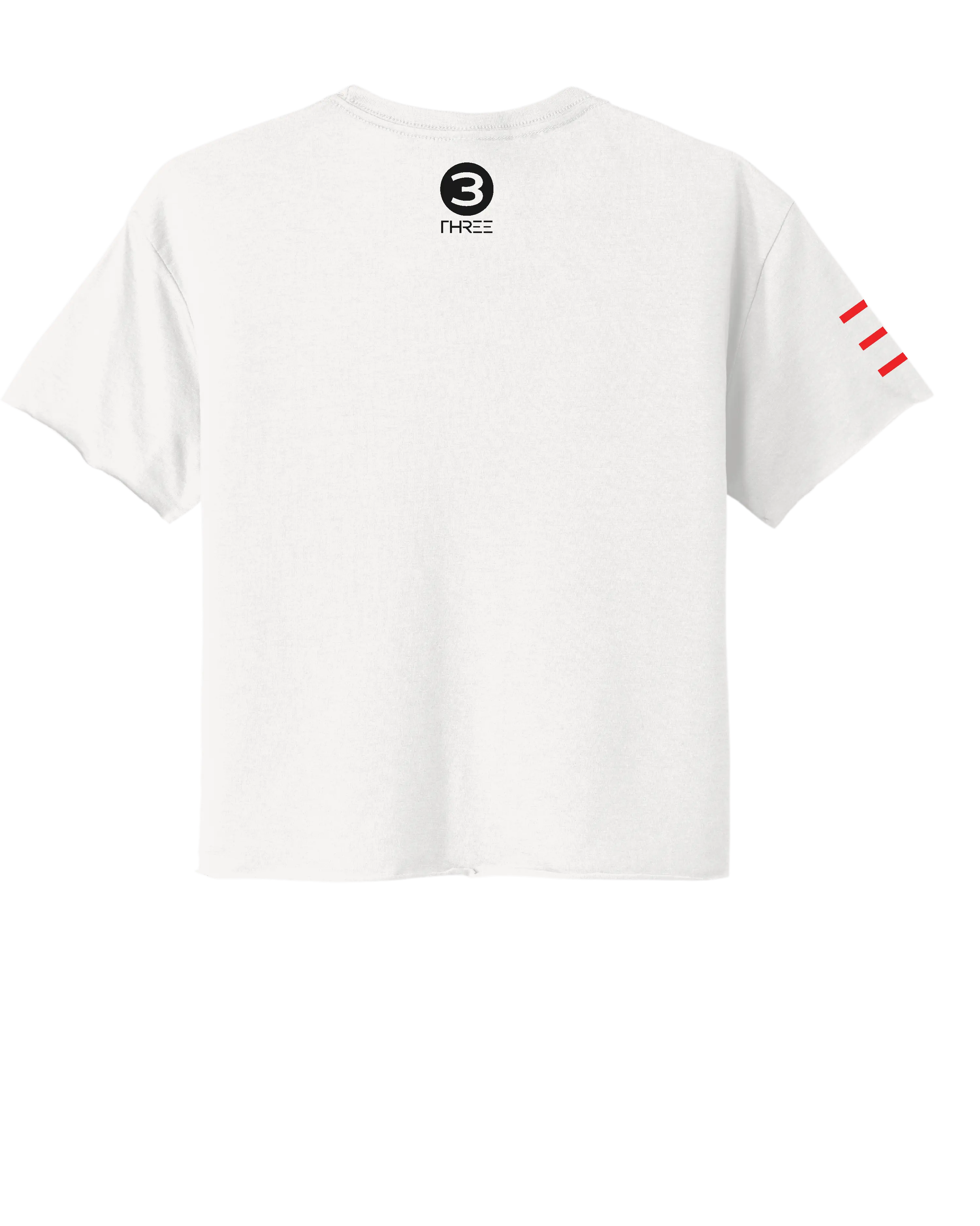 Jiu-Jitsu Physical Chess Match - Crop Top - 3Three Apparel LLC.