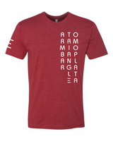 ArmBar | Triangle | Omoplata Jiu-Jitsu Shirt - Premium Super Soft T-Shirt