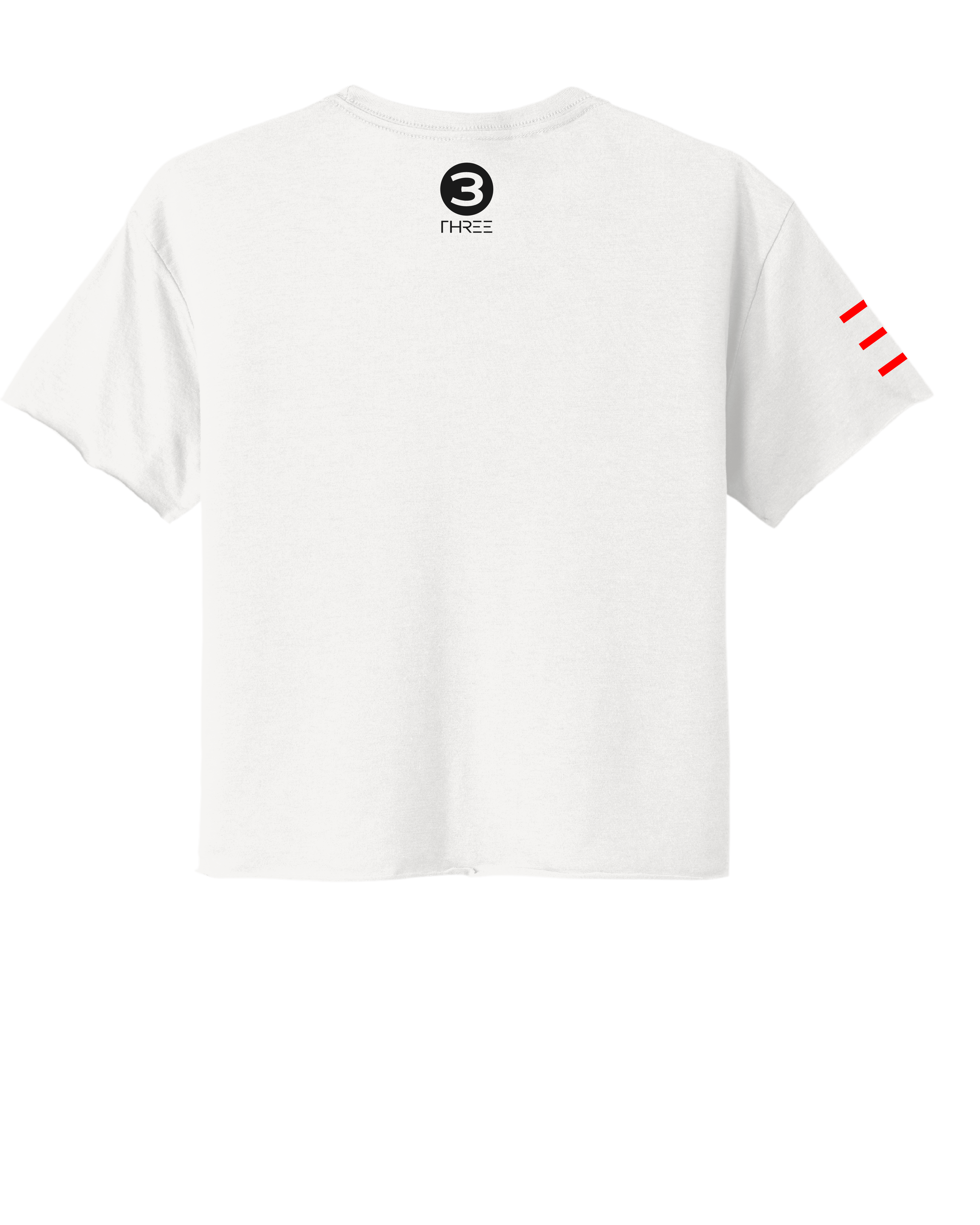 Roll Recover Repeat Jiu-Jitsu Crop Top – Retro 80s Miami Style BJJ Shirt 