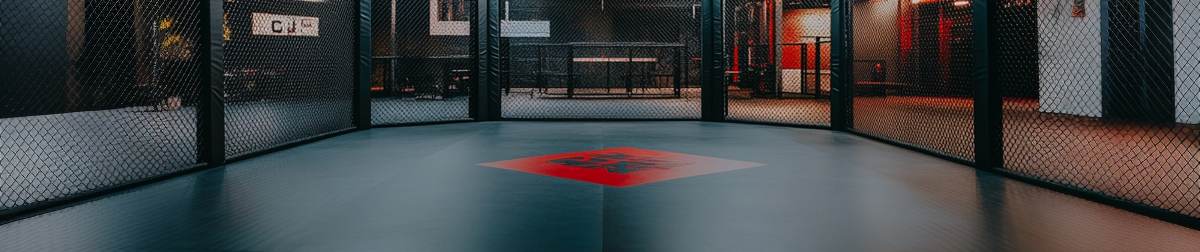 pixelcarver_A_photo_of_an_indoor_MMA_training_studio_--chaos__0_04758761-1c42-49e7-b41c-cdf7deecc1de.png